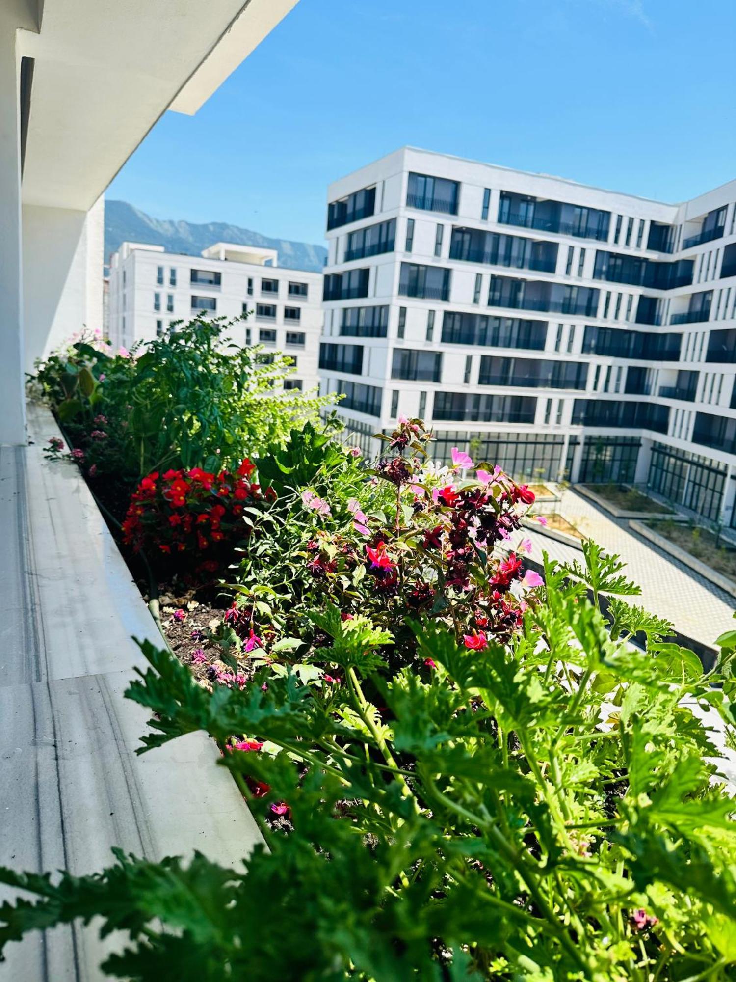 Family Apartment 티라나 외부 사진